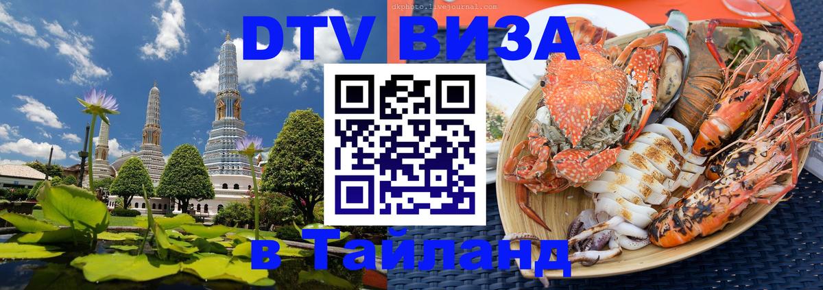 Оформление DTV визы под ключ: стоимость и тарифы, только загранпаспорт - Самара 